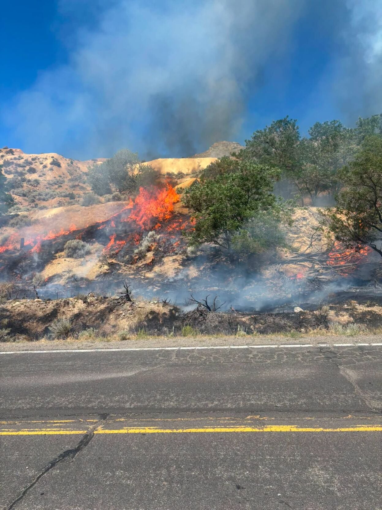 fire in gold hill 2