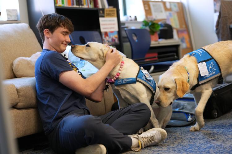 Trauma Dogs School Shooting