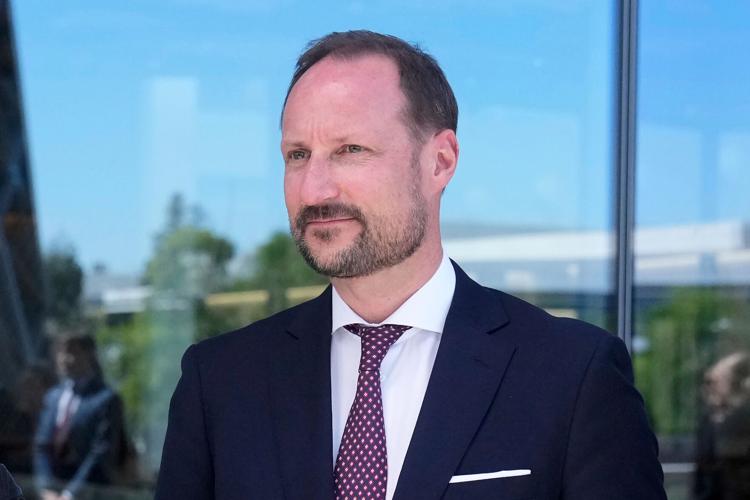 Norway New King