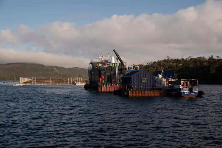 Chile Salmon Farms