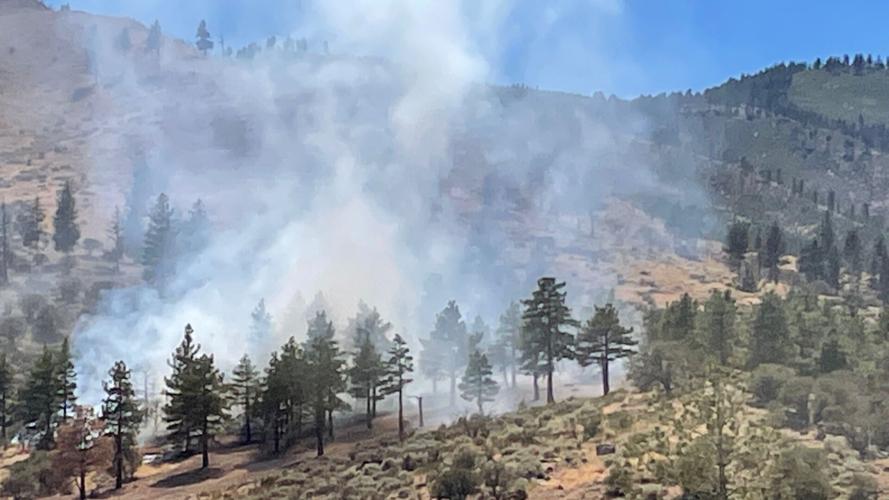 Pinehaven area fire