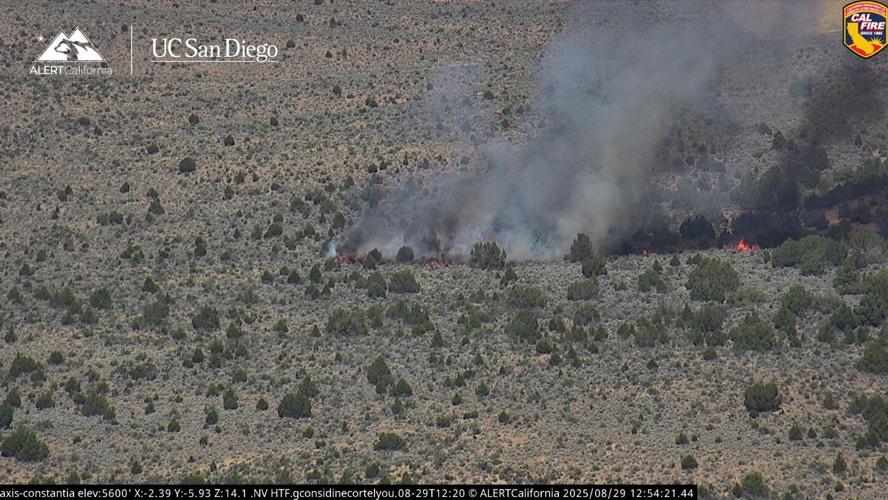 UC San Diego fre camera