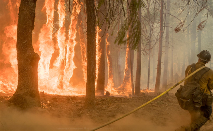U.S. Forest Service: Ferguson Fire Cause Determined