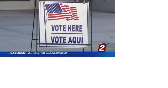 Early Voting & Mail-In Ballots - Vimarsana News