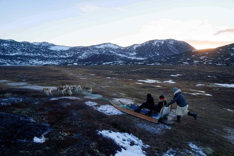 Climate Arctic Jungle