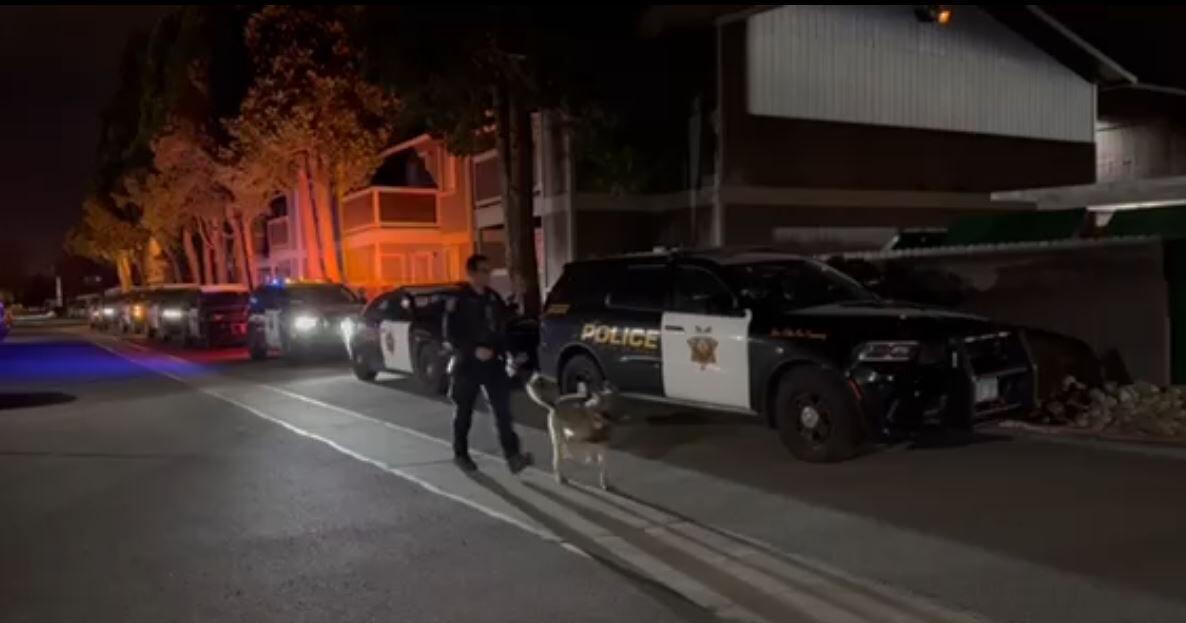 Minor Arrested After Allegedly Firing Gun at Man in South Reno | News ...