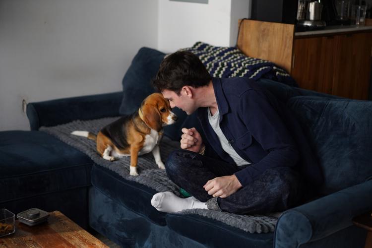 Gene-Edited Hypoallergenic Dogs