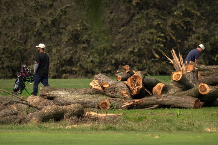 Trump Golf Course