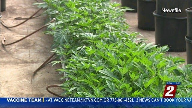 Senate Approves Marijuana Consumption Lounge Bill