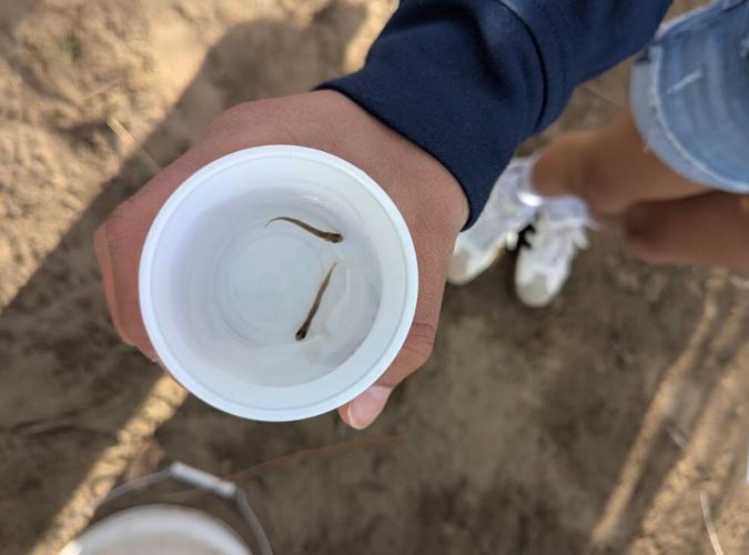 River Wranglers Nike and Adidas