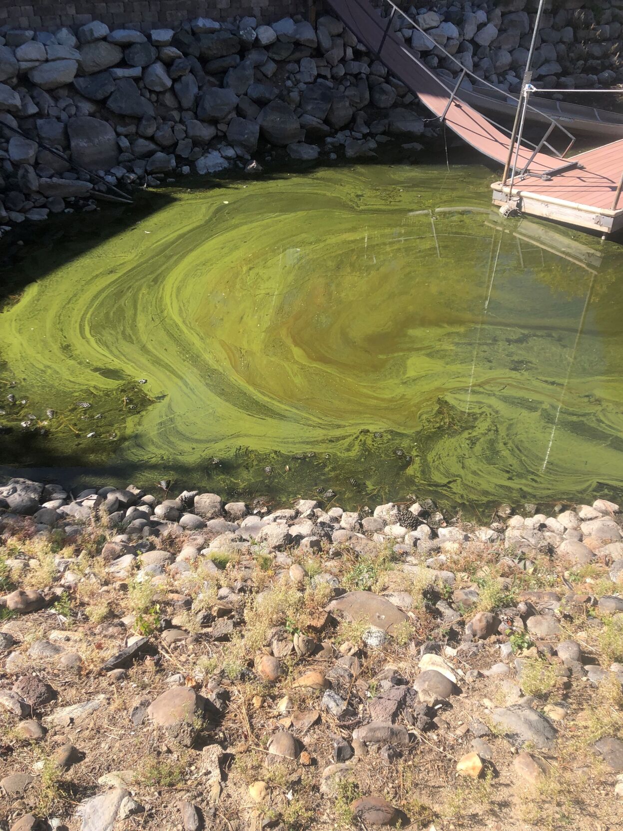 Warning Level_Harmful Algal Bloom_Lahontan Water Board.jpg