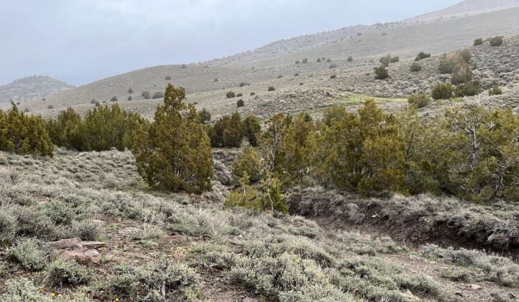 Wildcat Exploration Project in Pershing County