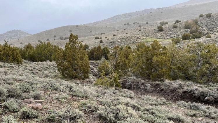 BLM approves gold mining exploration project in Pershing County | News ...