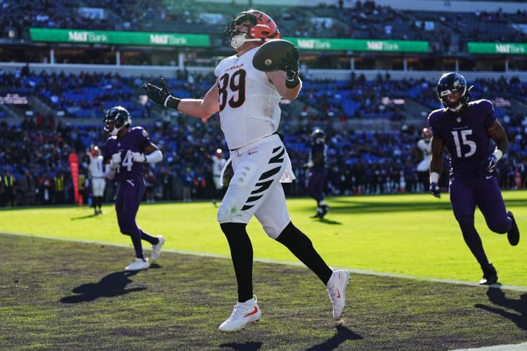 Bengals Ravens Football
