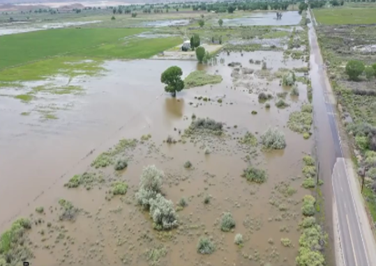 flooding nevada.PNG