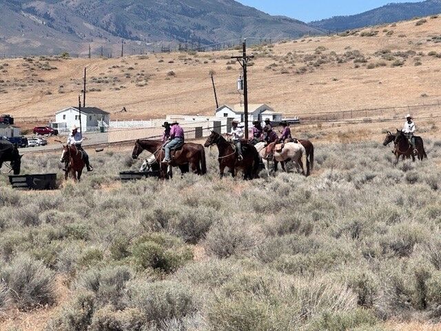Reno Rodeo 2025 Cattle Drive - final trek to rodeo grounds 9