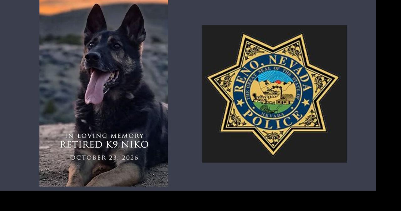 Reno police mourn retired K9 Niko after eight years of service | Local ...
