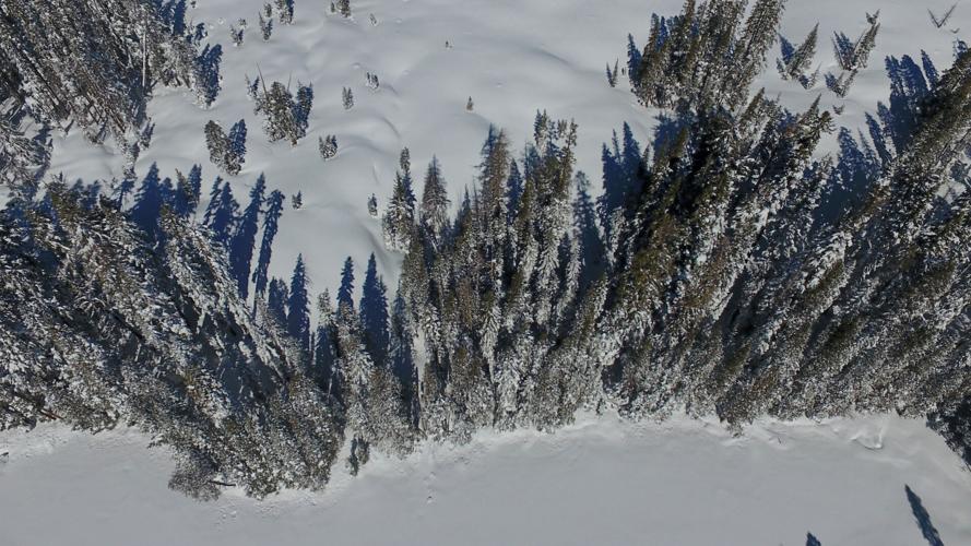 California Avalanche