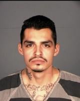 Traffic Stop Yields Carson City Drug Seizure