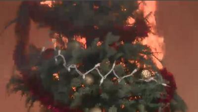 Keeping Your Christmas Tree From Becoming a Fire Hazard