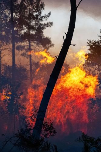 See the world in vertical: Top photos by AP photojournalists