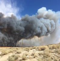 Wildfire in Inyo County, California 100% Contained
