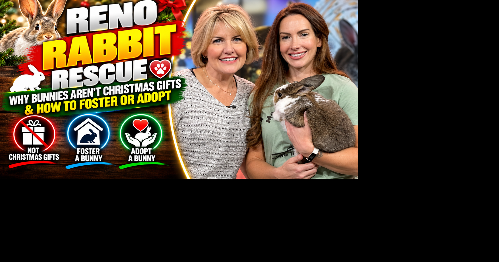 Reno Rabbit Rescue | Why Bunnies Aren't Christmas Gifts & How to Foster ...