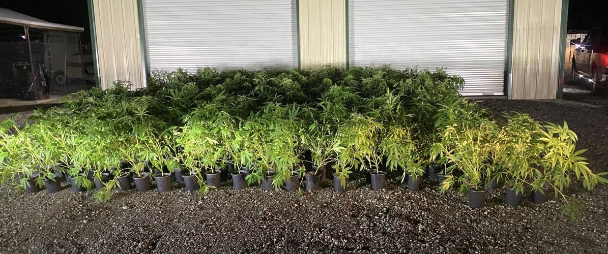 Mineral County Sheriff's Office Trafficking Arrest 1.jpg