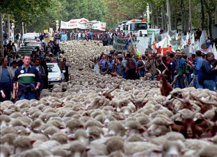 France Protests-Cultural Tradition