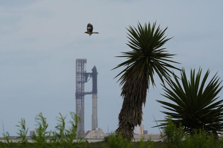 SpaceX Starship Launch