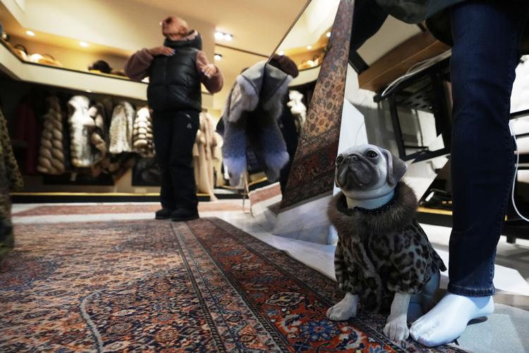 Milan Cortina Olympics Fur Catwalk