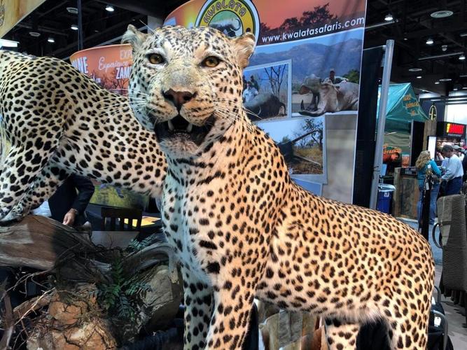 Safari Club International Convention Returns to Reno