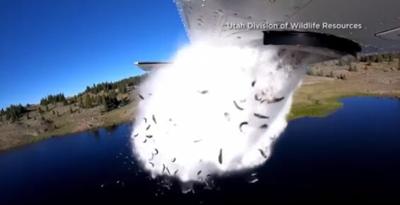Utah Dept. of Wildlife Uses Plane For Fish Restocking