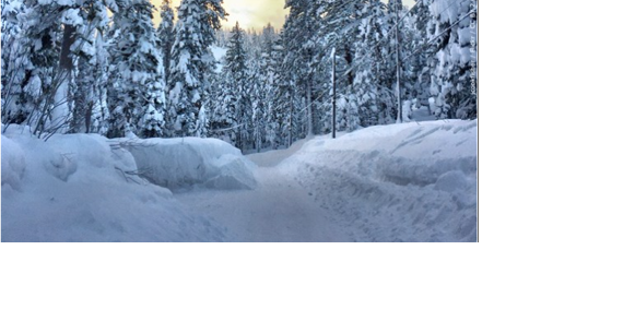 Tahoe Fund and Friends of Ski Run Launch $75,000 Matching Campaign to Build Ski Run Park - Vimarsana News