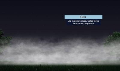 How Fog Forms