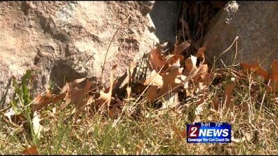Timing Right For Creating Defensible Space