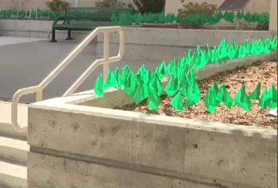 Reno VA Puts Out Flags to Recognize Military Sexual Trauma Victims