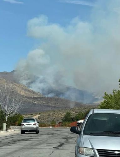 Viewer Submission of Bug Fire - Susan Stewart