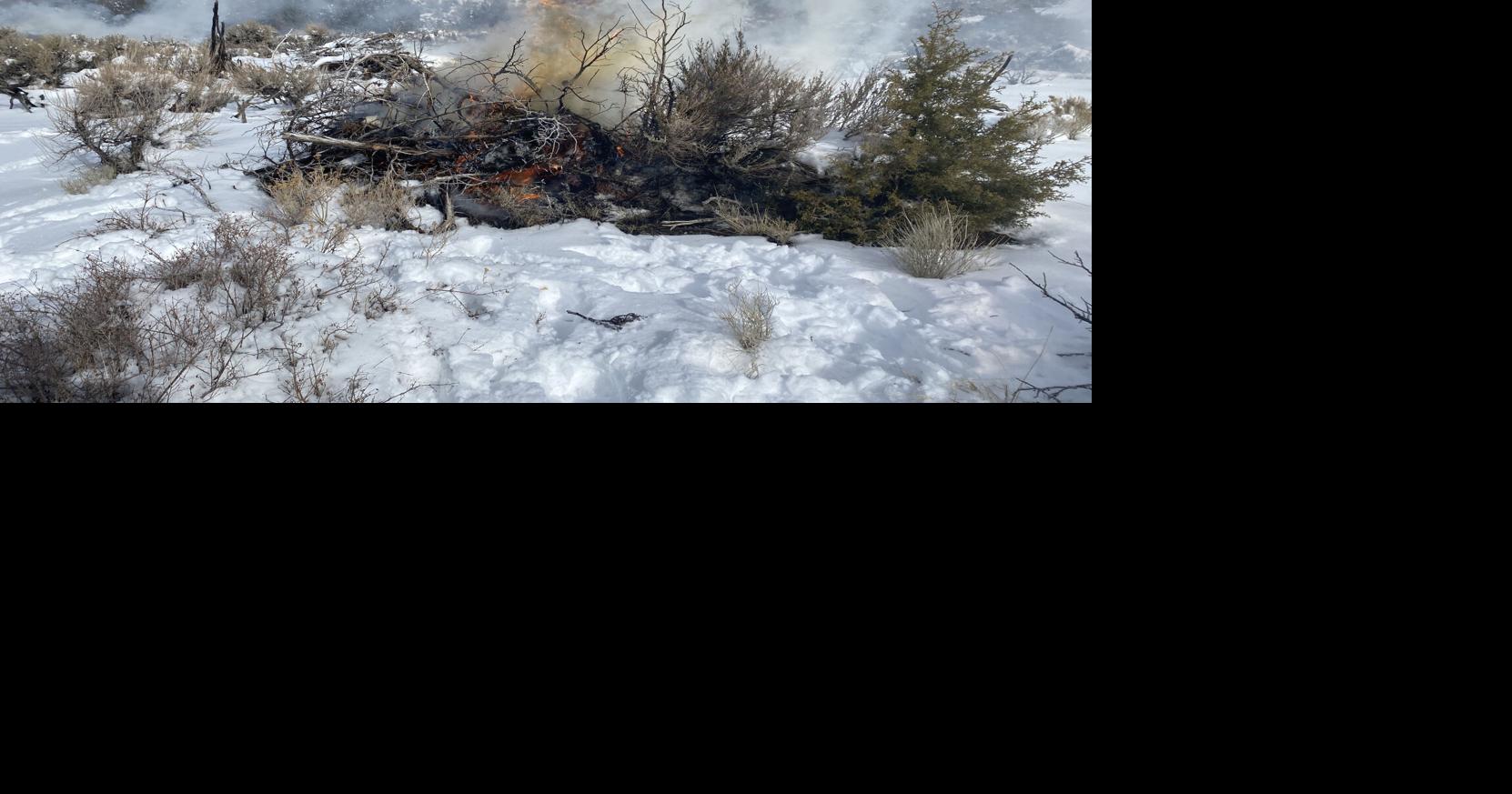 BLM Elko District plans prescribed fire on Spruce Mountain | News ...