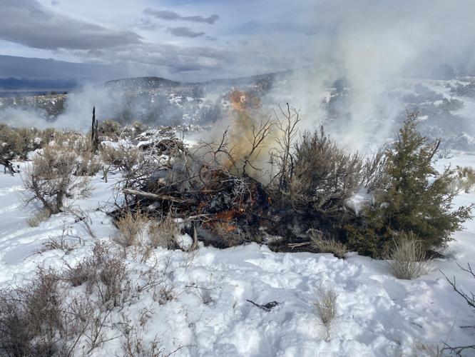 SpruceMt-2023-IMG_0169-copy (002).jpg