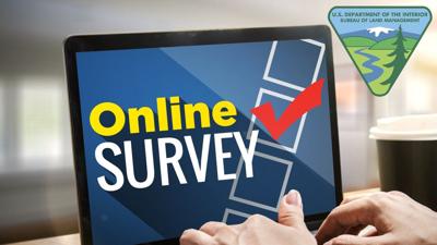 BLM Ely District online survey for White Pine