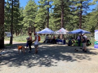Natural Paws Hike for Hounds Festival & Fundraiser