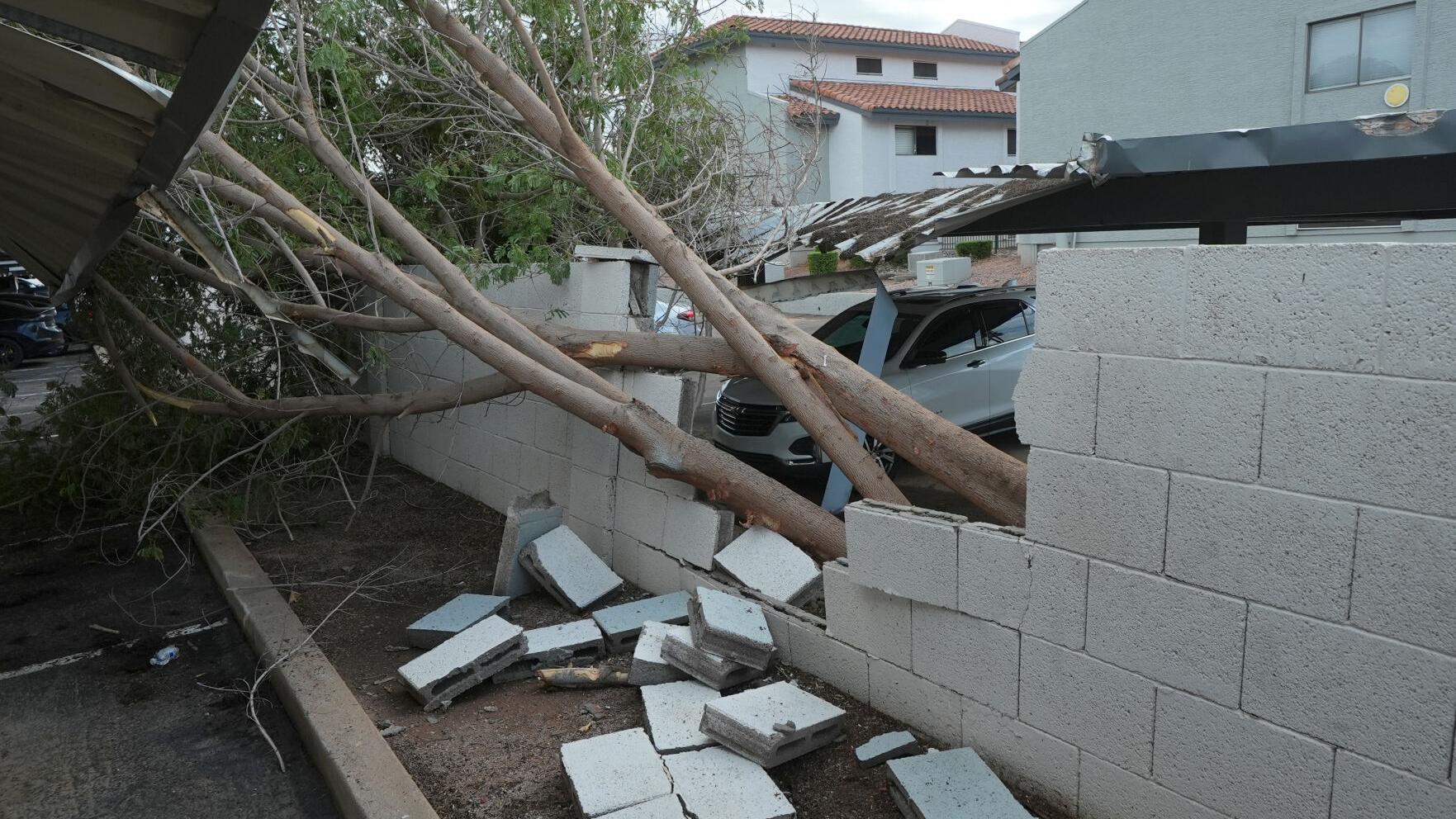 'Zeus was angry:' Arizona surveys damage from at least 3 rare tornadoes ...