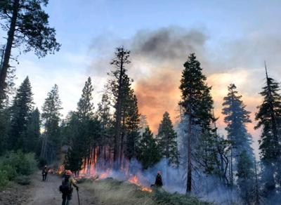 Fork Fire Now Fully Contained in Eldorado National Forest