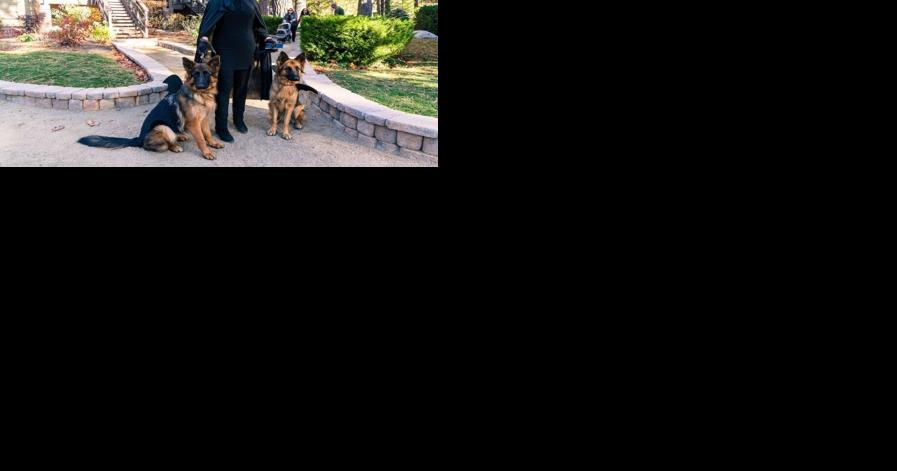 Hyatt Regency in Lake Tahoe hosts 'Howl-O-Ween' Pet Costume Contest - Vimarsana News