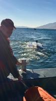 Crews Rescue Fisherman on Pyramid Lake