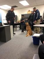 Meet New Reno Police Chief Ben Anderson