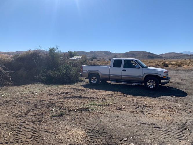 TMFR Announces Dates for Autumn 2022 Green Waste Collection Days