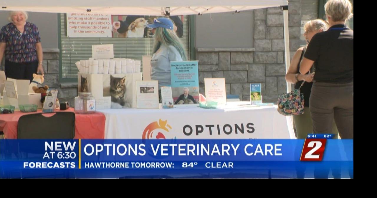 Options Veterinary Clinic Celebrates Their Three Year Anniversary ...