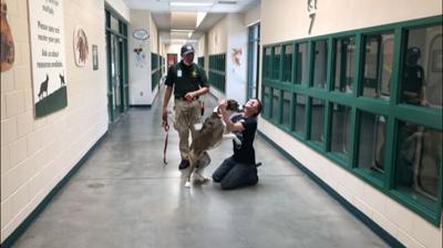 Oregon Woman Makes the Trip to Reno and Reunites With Her Lost Dog